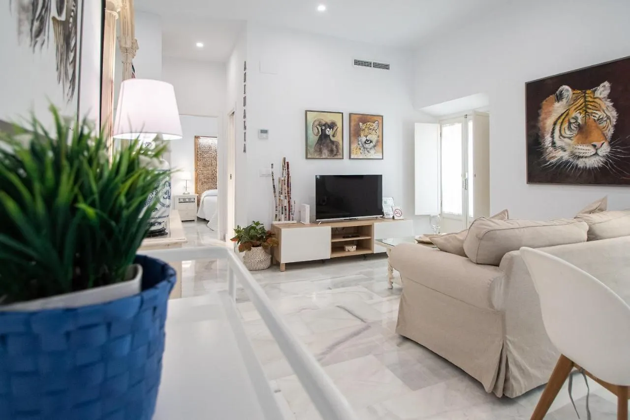 Apartamento Animalia Cádiz España