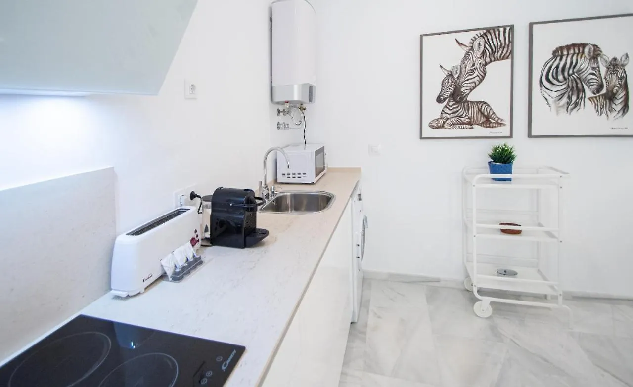 Apartamento Animalia Cádiz 0*,