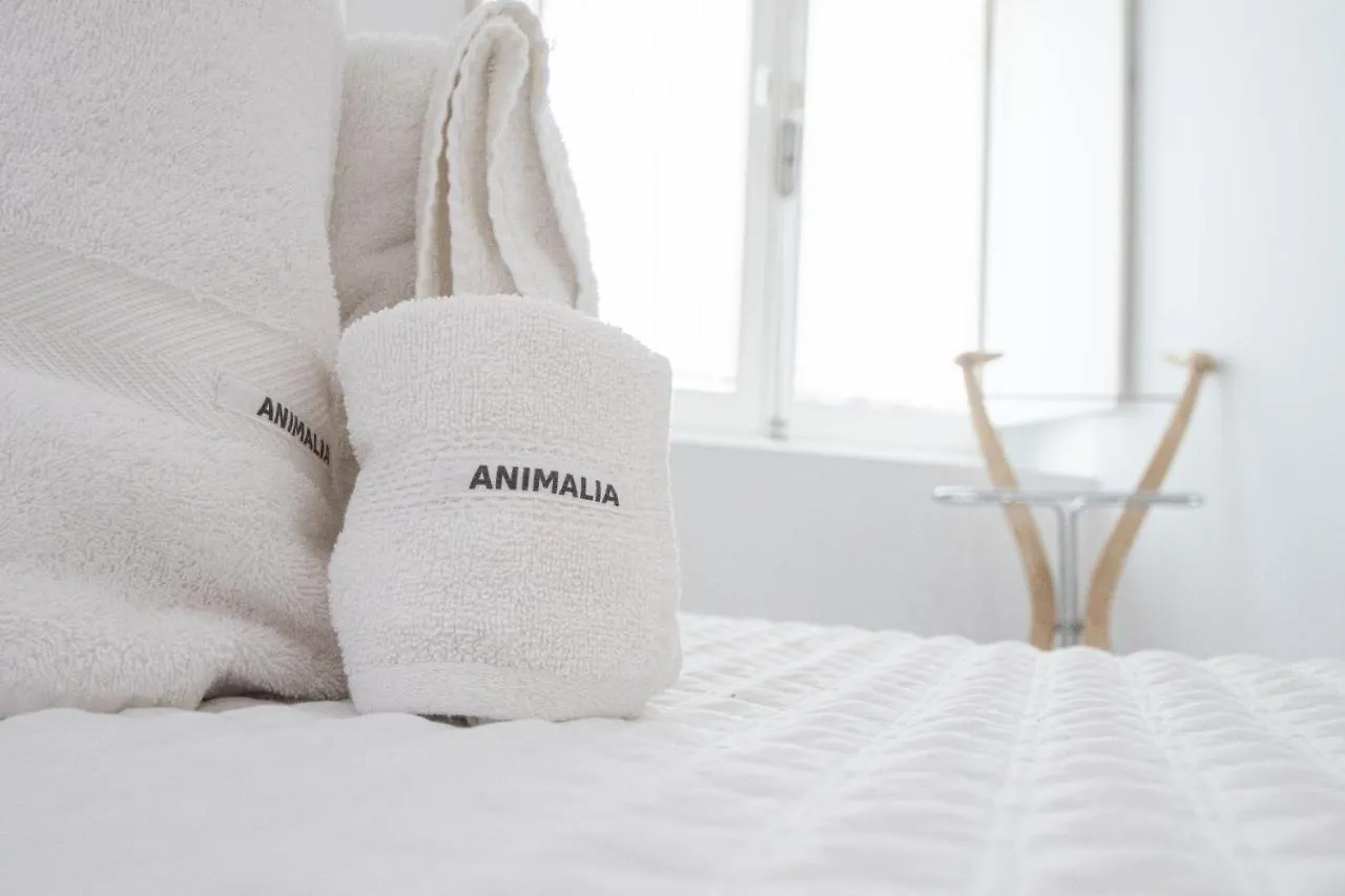 Apartamento Animalia Cádiz 0*,  España